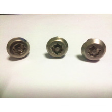 hight quality stainless steel anti theft bolt with Special Head M8*20